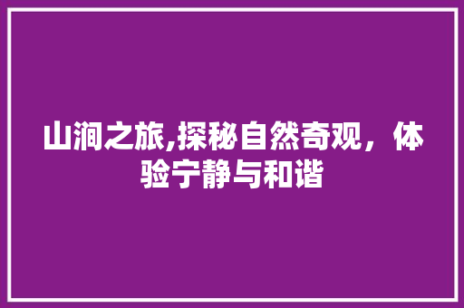 山涧之旅,探秘自然奇观，体验宁静与和谐