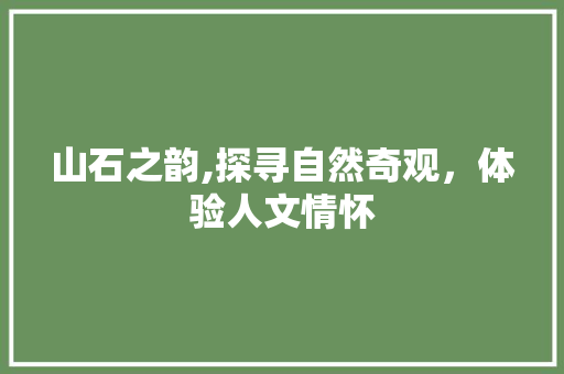 山石之韵,探寻自然奇观，体验人文情怀