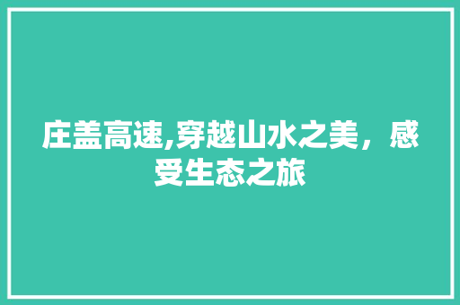 庄盖高速,穿越山水之美，感受生态之旅