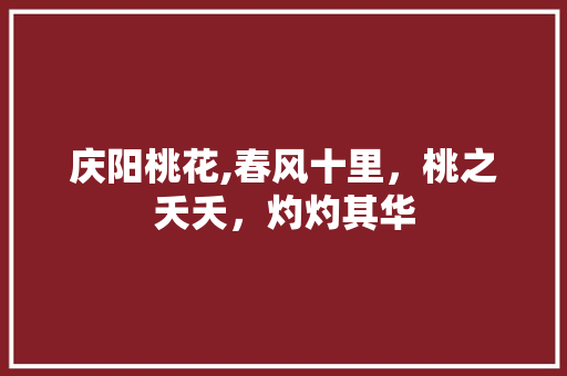 庆阳桃花,春风十里，桃之夭夭，灼灼其华