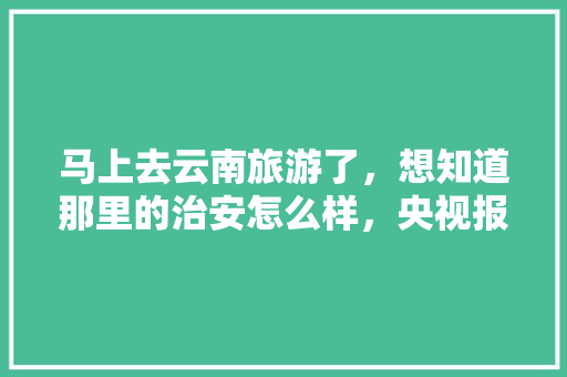 马上去云南旅游了，想知道那里的治安怎么样，央视报道云南旅游博主。