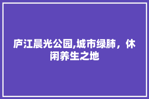 庐江晨光公园,城市绿肺，休闲养生之地