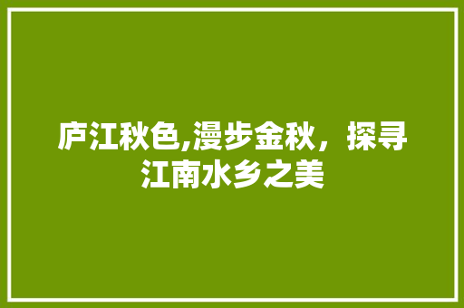 庐江秋色,漫步金秋，探寻江南水乡之美