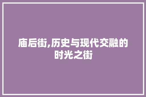 庙后街,历史与现代交融的时光之街