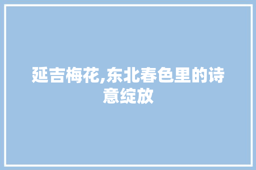 延吉梅花,东北春色里的诗意绽放