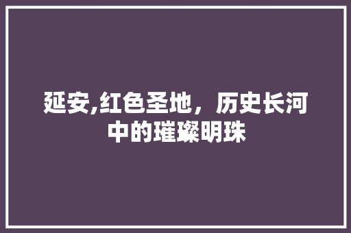 延安,红色圣地，历史长河中的璀璨明珠