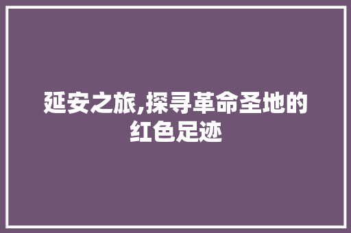 延安之旅,探寻革命圣地的红色足迹