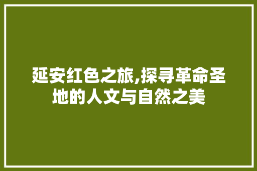 延安红色之旅,探寻革命圣地的人文与自然之美