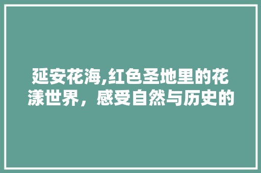 延安花海,红色圣地里的花漾世界，感受自然与历史的完美融合