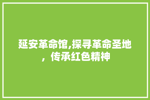 延安革命馆,探寻革命圣地，传承红色精神