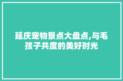 延庆宠物景点大盘点,与毛孩子共度的美好时光