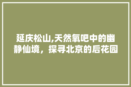 延庆松山,天然氧吧中的幽静仙境，探寻北京的后花园之美