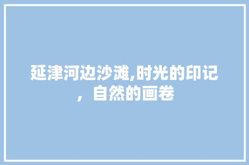 延津河边沙滩,时光的印记，自然的画卷