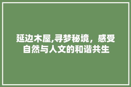 延边木屋,寻梦秘境，感受自然与人文的和谐共生