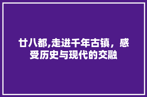 廿八都,走进千年古镇，感受历史与现代的交融