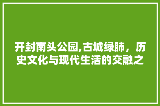 开封南头公园,古城绿肺，历史文化与现代生活的交融之地