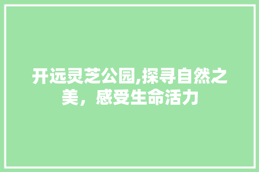 开远灵芝公园,探寻自然之美，感受生命活力