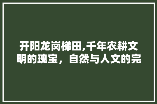 开阳龙岗梯田,千年农耕文明的瑰宝，自然与人文的完美融合