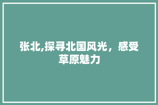 张北,探寻北国风光，感受草原魅力