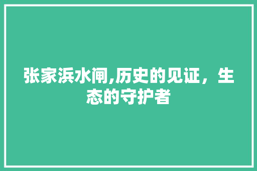 张家浜水闸,历史的见证，生态的守护者