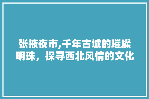 张掖夜市,千年古城的璀璨明珠，探寻西北风情的文化盛宴