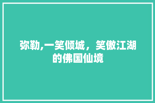 弥勒,一笑倾城，笑傲江湖的佛国仙境