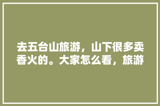 去五台山旅游，山下很多卖香火的。大家怎么看，旅游送猪肉。