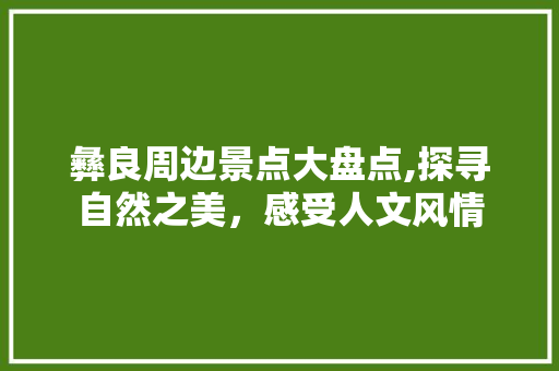 彝良周边景点大盘点,探寻自然之美，感受人文风情