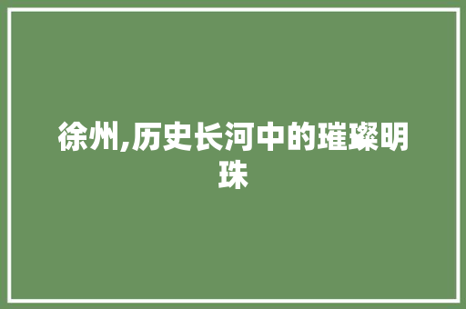 徐州,历史长河中的璀璨明珠  第1张