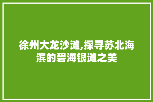 徐州大龙沙滩,探寻苏北海滨的碧海银滩之美