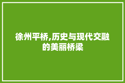 徐州平桥,历史与现代交融的美丽桥梁