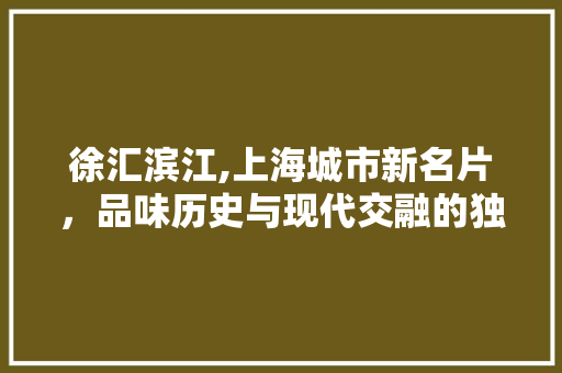 徐汇滨江,上海城市新名片，品味历史与现代交融的独特魅力