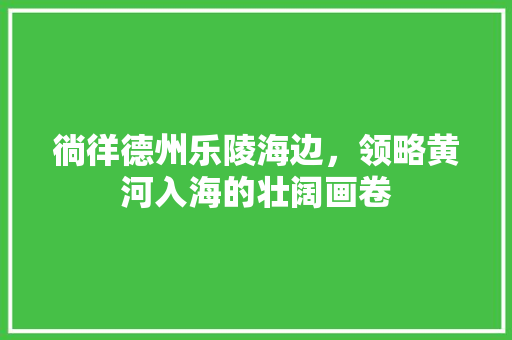 徜徉德州乐陵海边，领略黄河入海的壮阔画卷