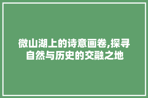 微山湖上的诗意画卷,探寻自然与历史的交融之地