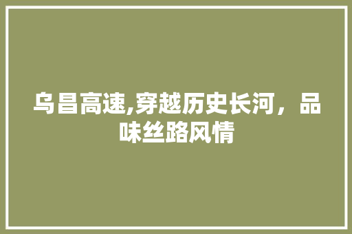 乌昌高速,穿越历史长河，品味丝路风情