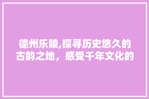 德州乐陵,探寻历史悠久的古韵之地，感受千年文化的沉淀