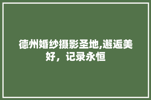 德州婚纱摄影圣地,邂逅美好，记录永恒  第1张