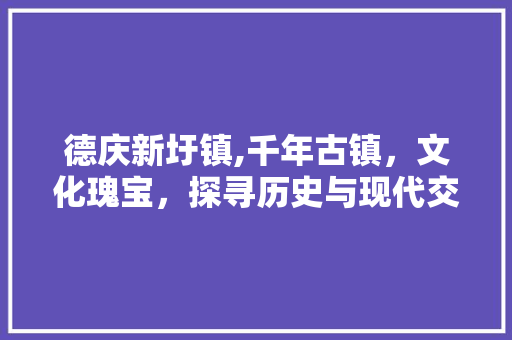 德庆新圩镇,千年古镇，文化瑰宝，探寻历史与现代交融的韵味