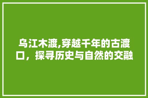 乌江木渡,穿越千年的古渡口，探寻历史与自然的交融之美