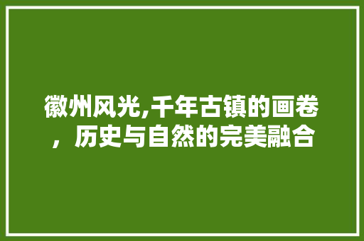 徽州风光,千年古镇的画卷，历史与自然的完美融合