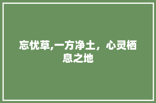 忘忧草,一方净土，心灵栖息之地