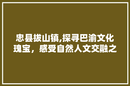 忠县拔山镇,探寻巴渝文化瑰宝，感受自然人文交融之美