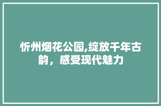 忻州烟花公园,绽放千年古韵，感受现代魅力