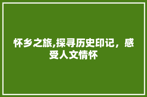 怀乡之旅,探寻历史印记，感受人文情怀