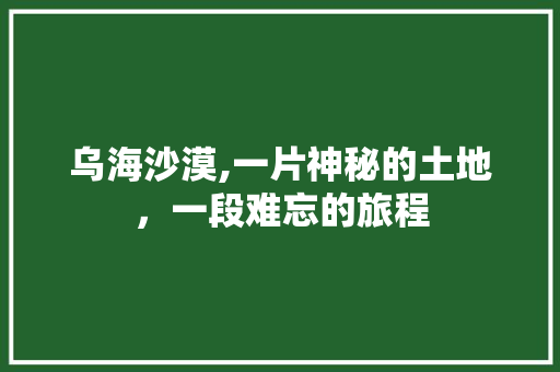 乌海沙漠,一片神秘的土地，一段难忘的旅程  第1张