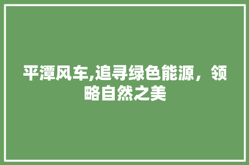 平潭风车,追寻绿色能源，领略自然之美