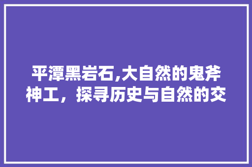 平潭黑岩石,大自然的鬼斧神工，探寻历史与自然的交融之美