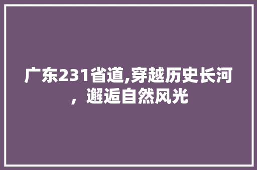 广东231省道,穿越历史长河，邂逅自然风光