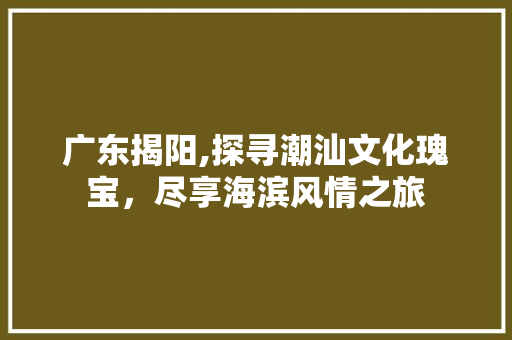 广东揭阳,探寻潮汕文化瑰宝，尽享海滨风情之旅