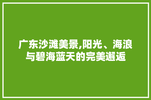 广东沙滩美景,阳光、海浪与碧海蓝天的完美邂逅